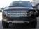 Вставка в решетку радиатора декоративная для Ford F-150 SVT 2011-2014